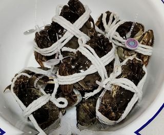 Steamed Hairy Crab