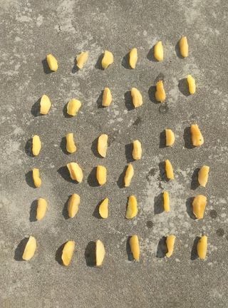 Step image