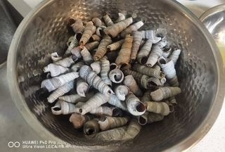Step image