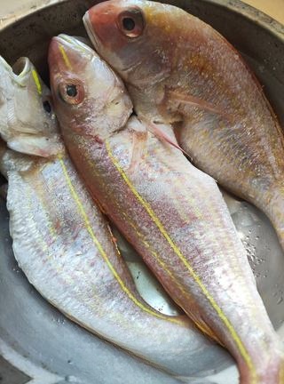 Pan-Seared Redwood Fish Exclusive