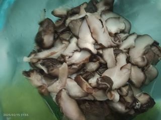 Stir-fried mushrooms with meat
