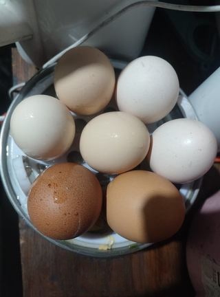 Steamed eggs