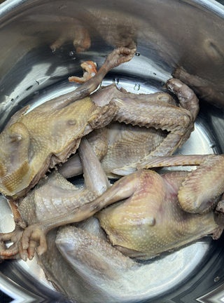 American Ginseng Stewed Pigeon Exclusive