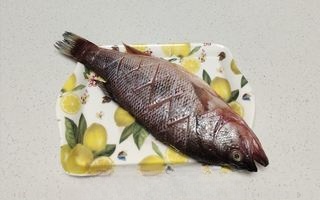 Stewed sea bass
