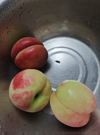 Perilla Baby Ginger Peach