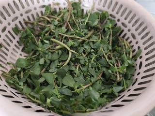 Stir-fried Purslane with Dried Tofu Skin