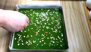 Step image