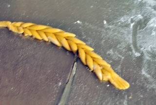 Step image