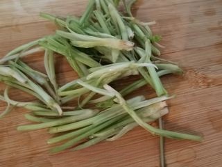 Exclusive Mixed Cilantro Roots