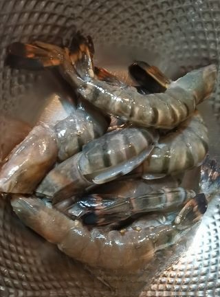 Exclusive Garlic Black Tiger Shrimp