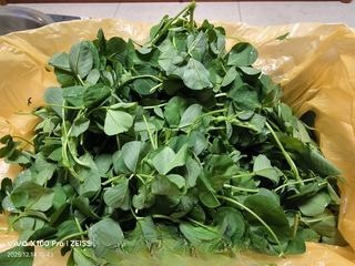 Herb Pancake