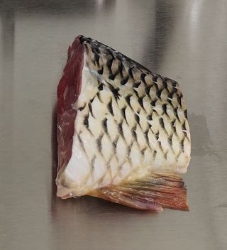 Braised Carp Segments in Red Sauce