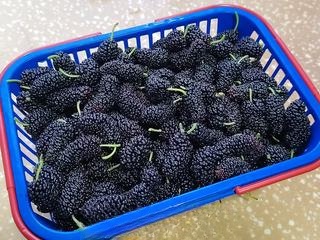 Homemade Dried Mulberries