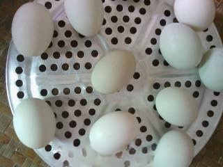 May 5th — Homemade Salted Duck Eggs
