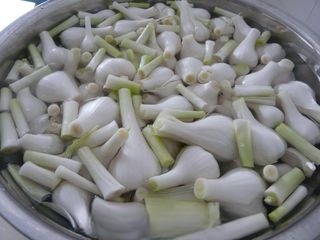 Learning to Pickle with Mom — Pickled Sweet Garlic