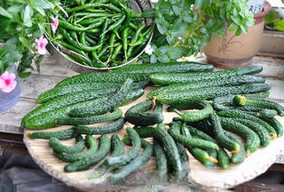 Spicy Cucumber